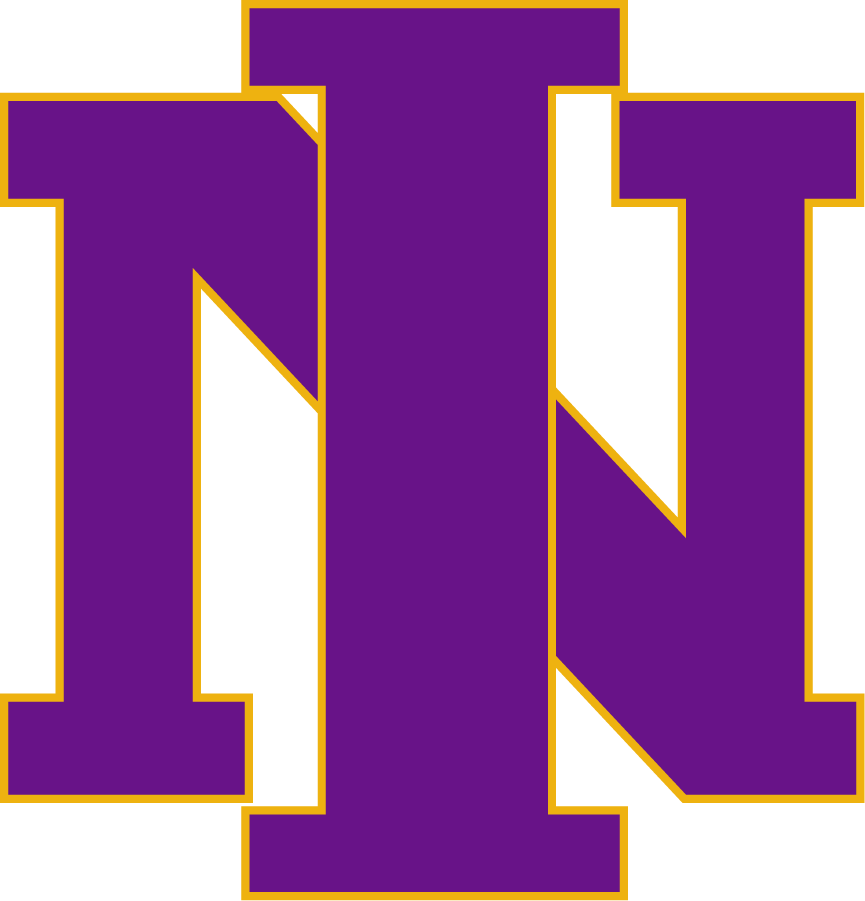 Northern Iowa Panthers 2000-2001 Primary Logo t shirts iron on transfers